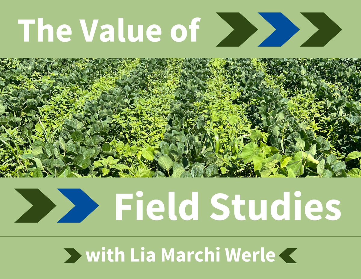 Field studies are a huge part of adjuvant product development. Read our latest blog by Exacto's Field Development Manager, Lia Marchi Werle to learn why. hubs.la/Q01jlTK-0 #fieldresearch #fieldtrial #fieldstudies #agricultureresearch #AgTwitter