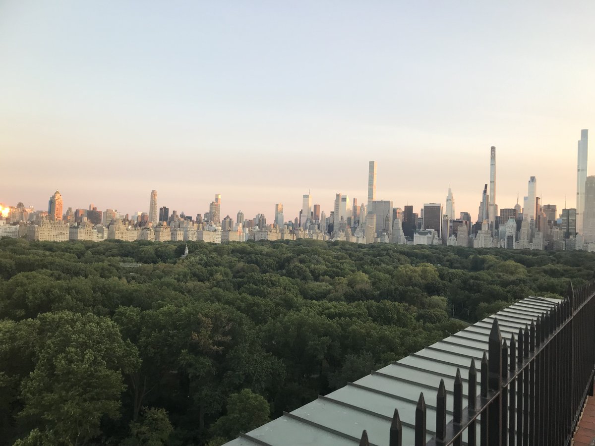 @NYUEnvrStudies is hiring tenure track faculty in fields including environmental #governance and #EnvironmentalJustice, #urbanEcology, and earth and #environmental science - please apply! as.nyu.edu/environment/ab…
