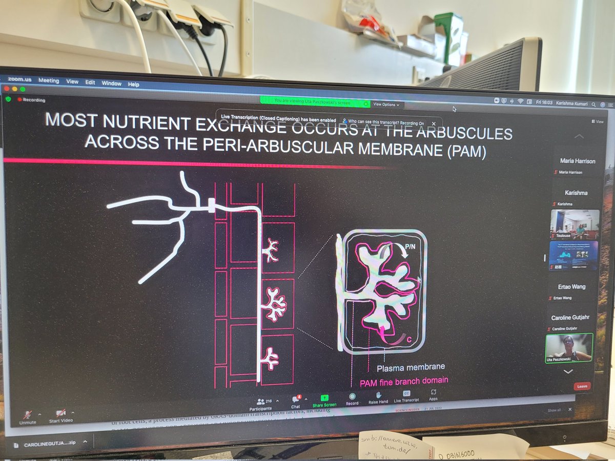 Karishm86115949's tweet photo. A very insighful talk with the excelelnt images about nutrient transporters #iMMM5 by Prof. Uta Paszkowski. https://t.co/WlCGorQuef
