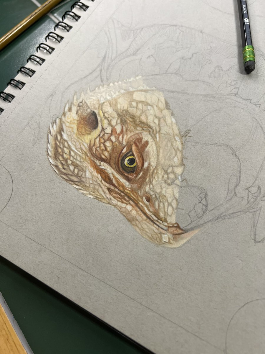 FaithxCreate's tweet photo. Slow work #wip #beardeddragon #Commission https://t.co/BPMjEXhLg9