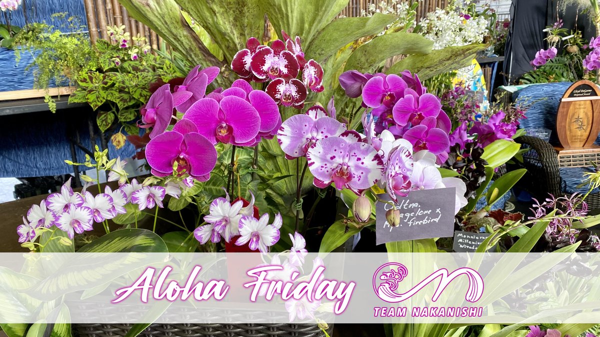 majormom808's tweet photo. Enjoy your first weekend in August everyone!

#TeamNakanishi #HawaiiLife #AlohaFriday #HappyAlohaFriday #FridayVibes #Friday #FridayFeels #Weekend #Orchid #Orchids #China #FOREVER1 #Prey #TheSandman #wrestling https://t.co/97lYwwJxpa