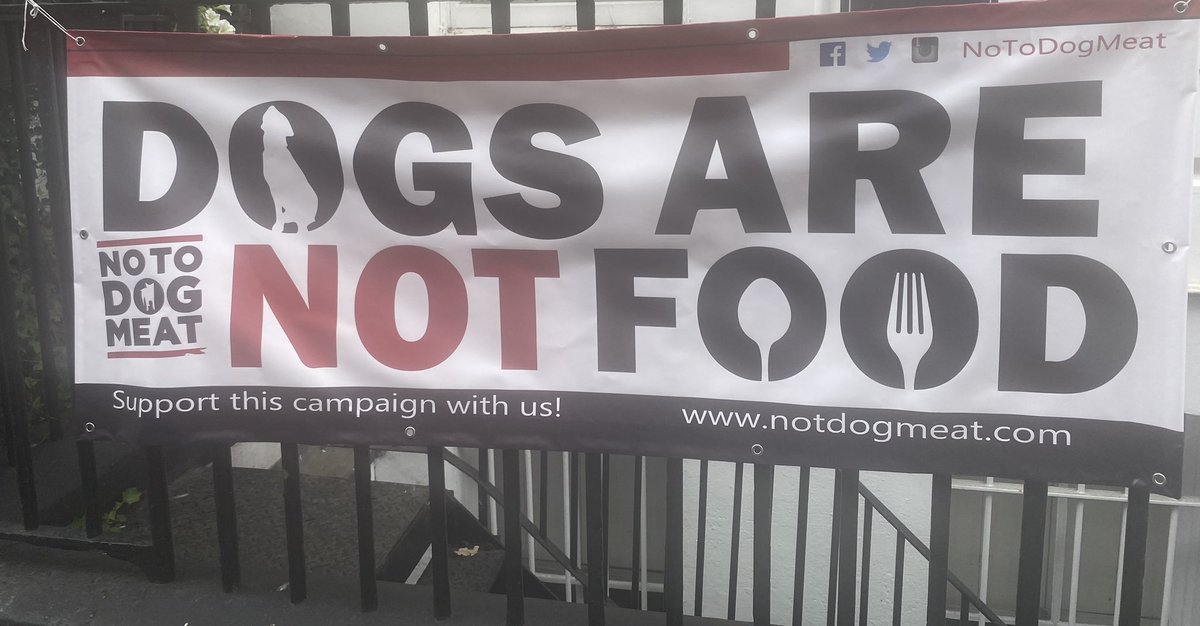 notodogmeat's tweet photo. #NoToDogMeat getting our banners ready to join the animal welfare march London tomorrow at 12 https://t.co/HExSqMvaPn