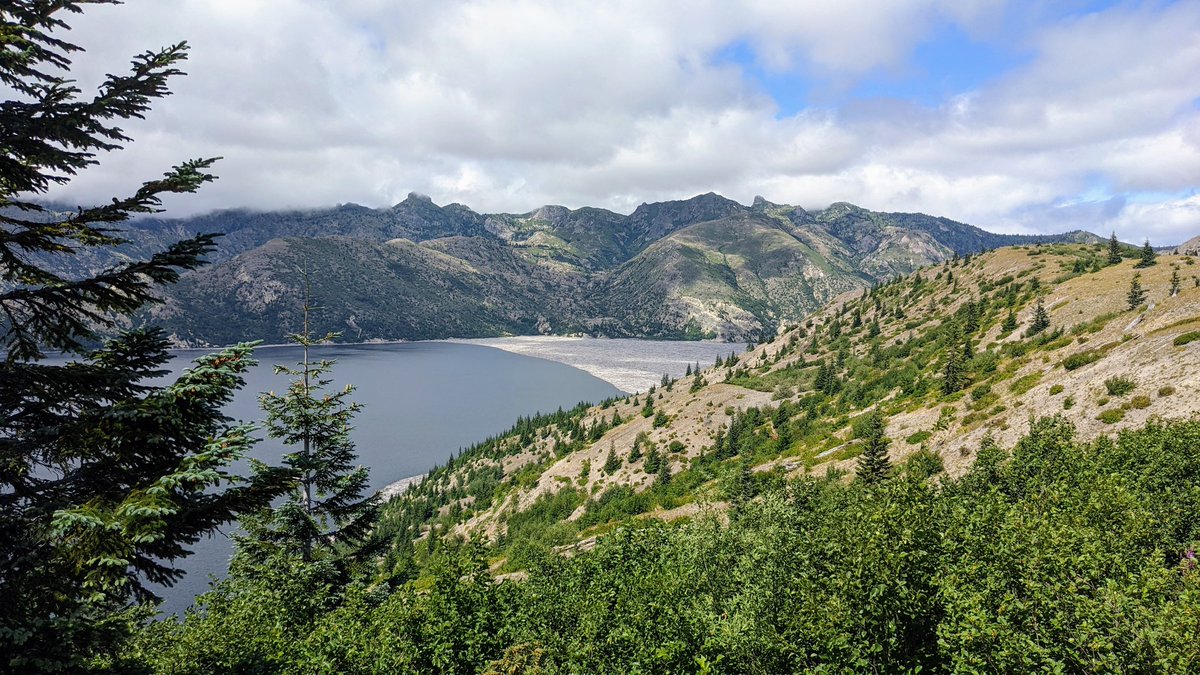 RainOrSlime's tweet photo. Just finished a two day sampling effort at seeps and streams near Mt. St. Helens!

I still have a bit of a field season ahead of me, but wanted to share some of the views and the herps 🐸 https://t.co/3cq5M9aViq
