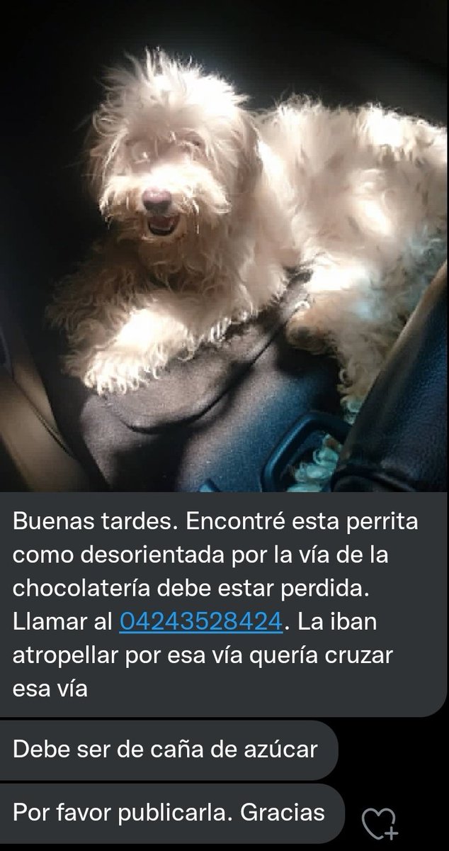LimonActivo's tweet photo. https://t.co/ER5zZHvgto