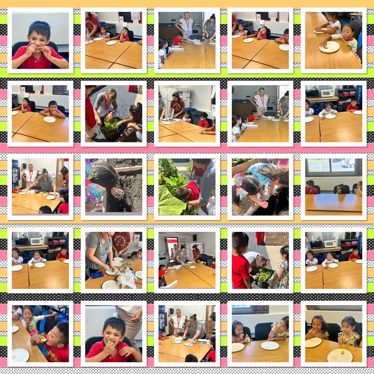 Vazquez308's tweet photo. Summer of Fun-Primary Patch!!! My students planted radishes and tasted yummy cucumbers from the garden! π₯#PrimaryPatch #RBBisBIA #RBSummerLearning @rbbsummer @rbpsEAGLES https://t.co/7XsQ3RxBsG
