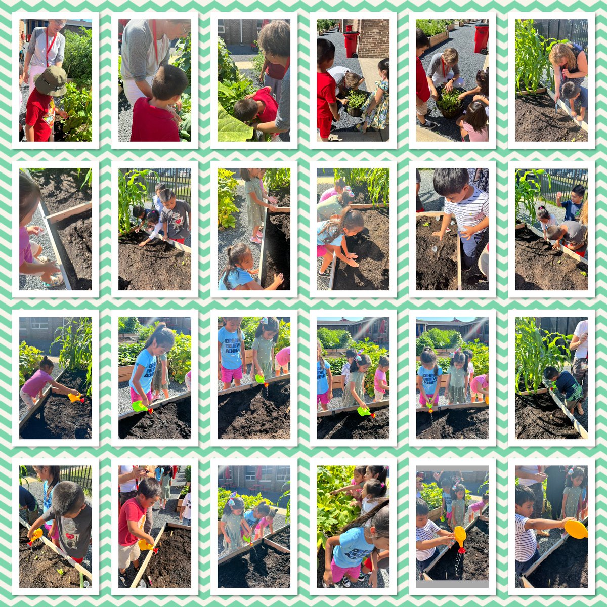 Vazquez308's tweet photo. Summer of Fun-Primary Patch!!! My students planted radishes and tasted yummy cucumbers from the garden! π₯#PrimaryPatch #RBBisBIA #RBSummerLearning @rbbsummer @rbpsEAGLES https://t.co/7XsQ3RxBsG