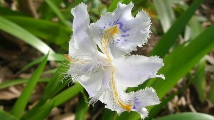 kamisama_kotoba's tweet image. I accept with ease.
Because all is the universal power.

サラっと受けとめる
すべては普遍的な力だから
#acceptance #受容