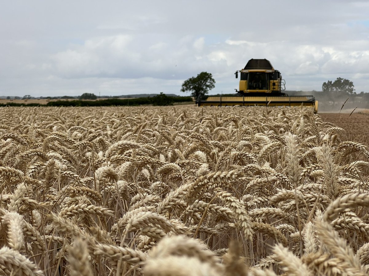 Ryanwesley1011's tweet photo. #harvest22 in full swing working our way through this years #wheat crops https://t.co/5Fxg73PpwU