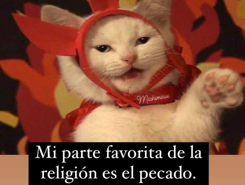 yaparateana1's tweet photo. Viernes 2x1 de #humorgatuno #aminomegustaamimeencantaaaaa diviértanse🫶🏻🫶🏻 https://t.co/HN8nuSIlWd