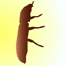 entocurean's tweet photo. Something fun for entomophagy! : entomophagy https://t.co/6AO6jZekzK https://t.co/aDvIAKbO0Y