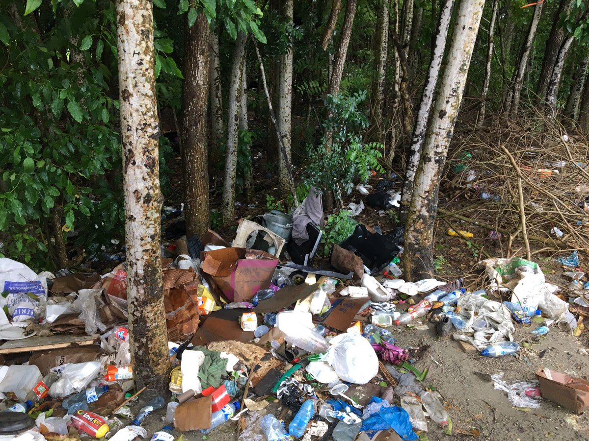 CAMINOSsinplastico tweet media