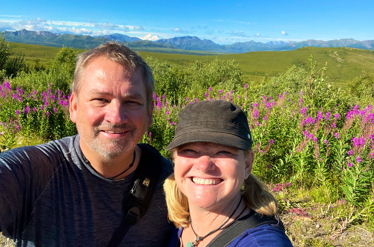 theplanetd's tweet image. Incredible day at Denali National Park with a clear view of Denali herself #halcruises #travel