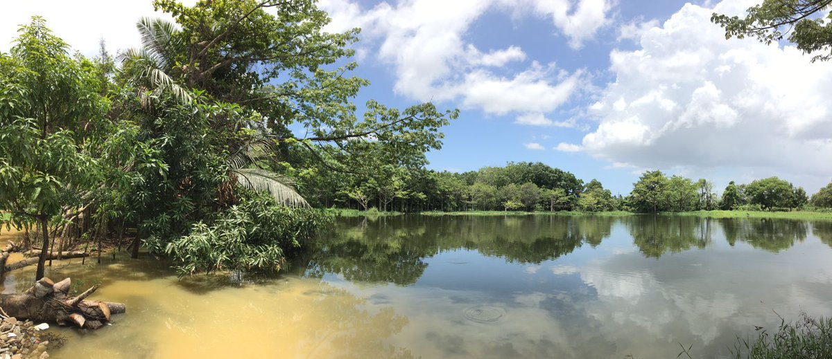 CAMINOSsinplastico tweet media