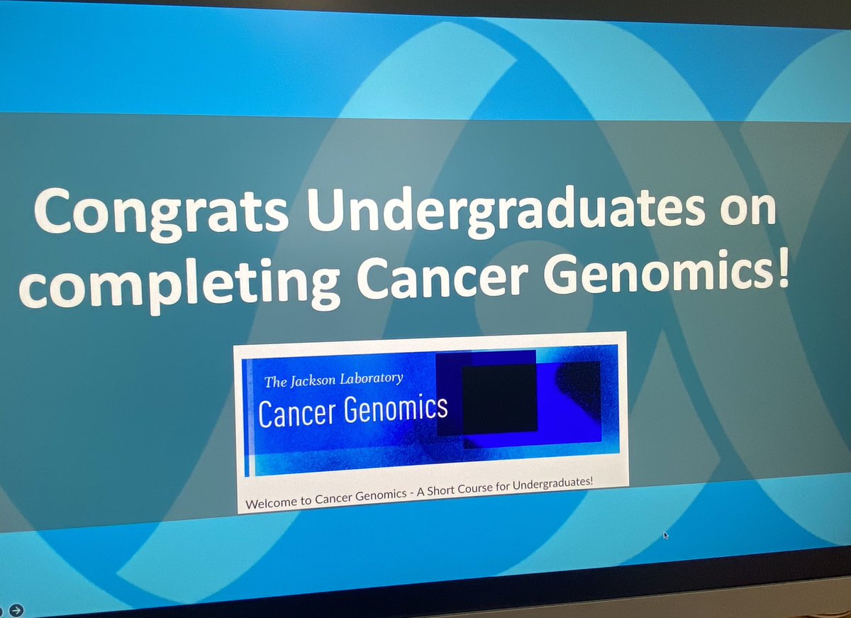 Erica Gerace tweet media