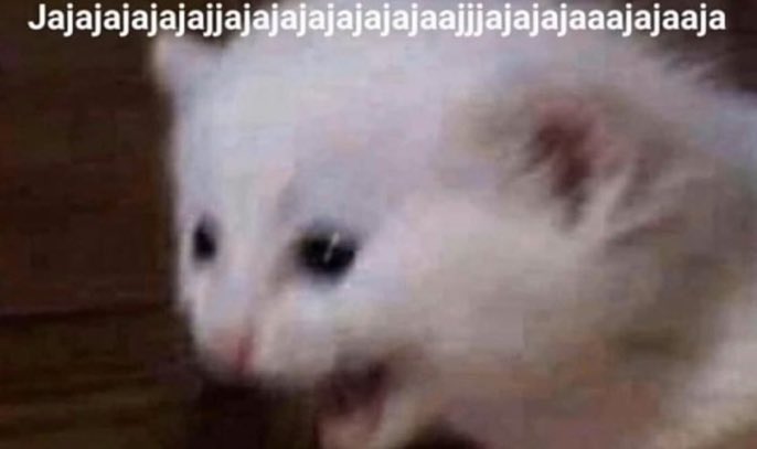 Guarromantico_'s tweet photo. Mi compa que siempre me hace reír por todo: Hola

Yo: https://t.co/4RheWlmD8l