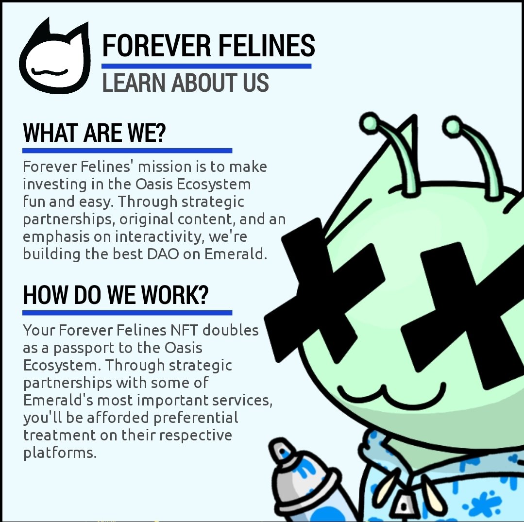 ForeverFelines tweet media