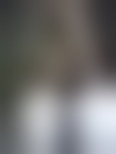 sofiahernan25a's tweet photo. He publicado un nuevo contenido en Loverfans. Puedes verlo en https://t.co/y6PtNdAVpZ https://t.co/FomoLrhsvQ