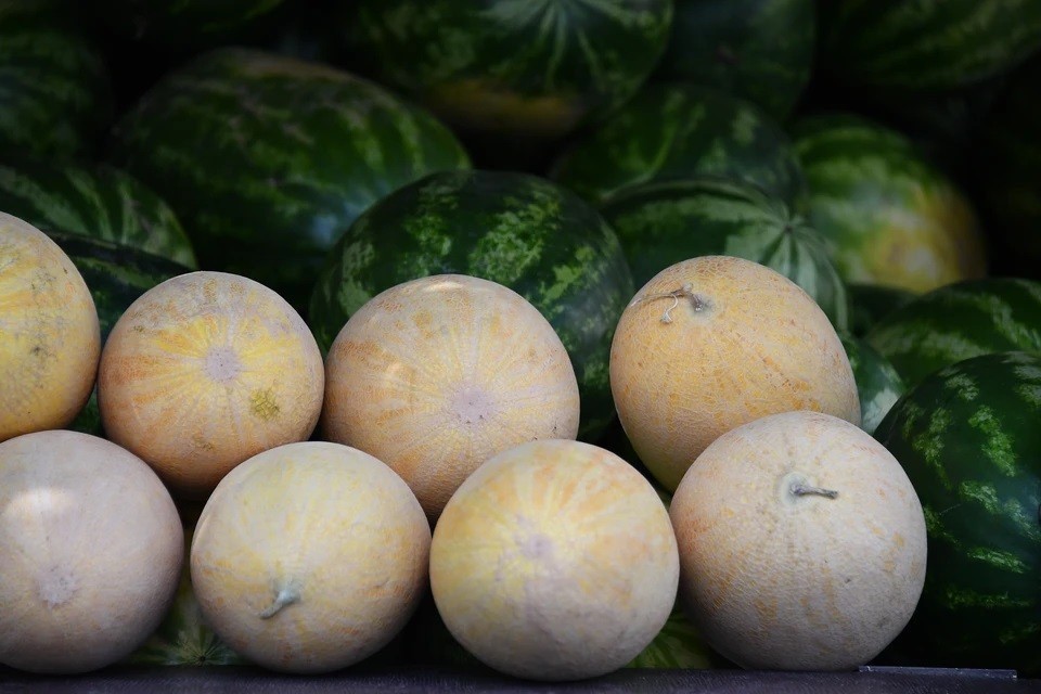 Арбуз и дыня фото. Ги дыни. Дынный кнес. Можно ли есть арбузы и дыни диабетикам. Королевская дыня.