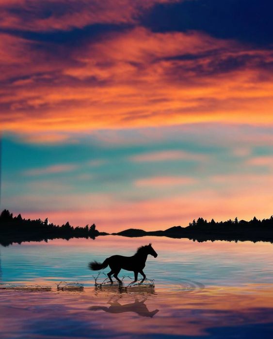 KatanaHugo's tweet photo. Good evening my friends!
#photos #photography #evening #sunset https://t.co/bpvDZ34ePG