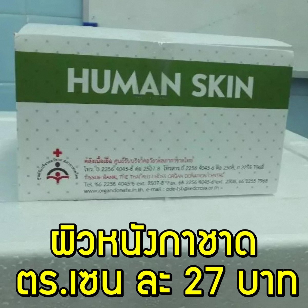 จิ้งจกตบตูด tweet media