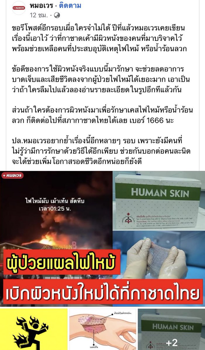 จิ้งจกตบตูด tweet media
