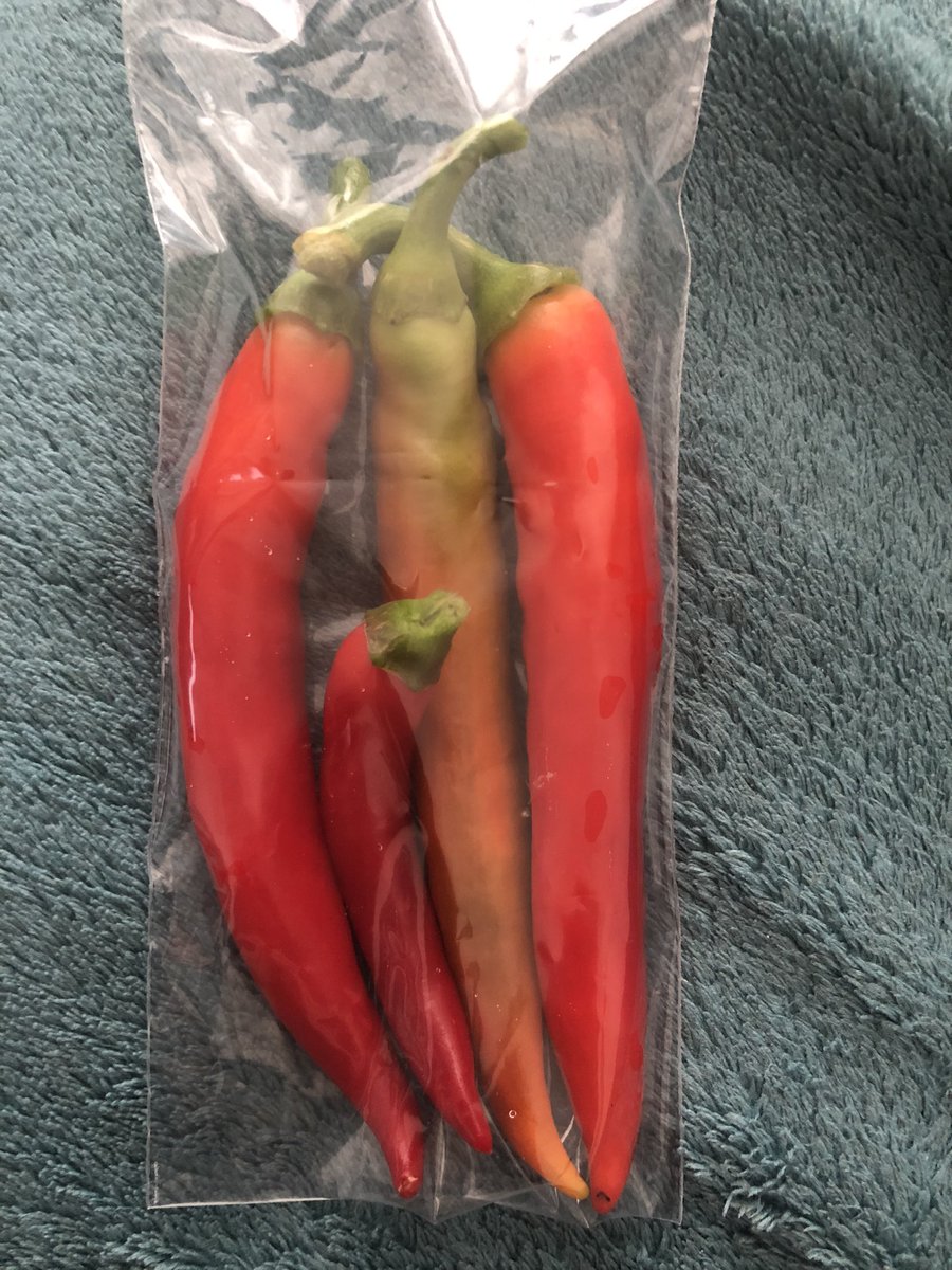 Corderagirl's tweet photo. The first crop of chillies 🌶 #chilliwatch https://t.co/dyKZSieEBY