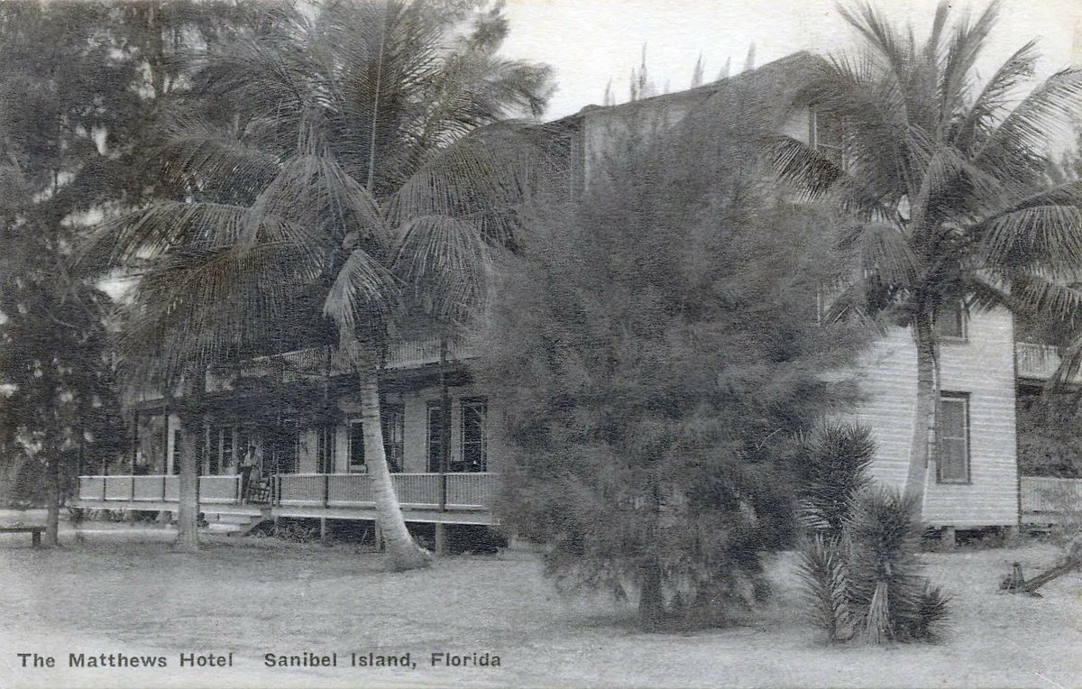SanibelPublicLibrary tweet media