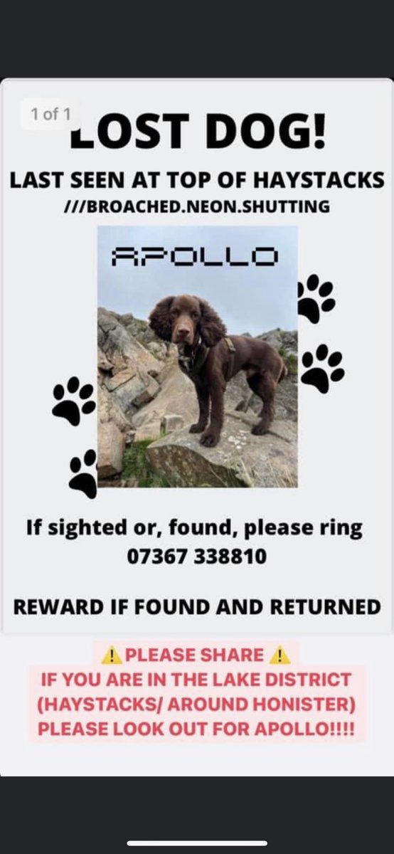 BaileySprocker's tweet photo. Pls share - poor pal!! 😢 https://t.co/4npzO4FJGs