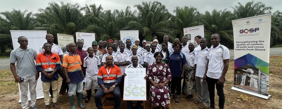 With support from the GQSP-Ghana project, the Golden Star Oil Palm Farmers Group is certified to the RSPO Independent small-holder Standard. This is the first Farmer Group in Ghana and the Second in Africa to receive this Certification. The GQSP project is funded by SECO
