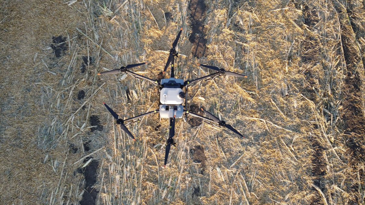 FarmRx_Hannah Ammann tweet media