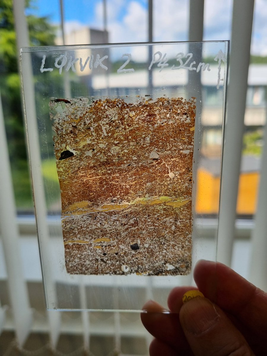 oliviazevedo's tweet photo. The @WorldSoils2022 came to @StirUni for a post conference tour about soil development, use and management. Participants spent time at the training soil pits and lab facilities where they learn about soil science teaching and research at @StirBES #WCSS22 https://t.co/aOx1bJqFTZ