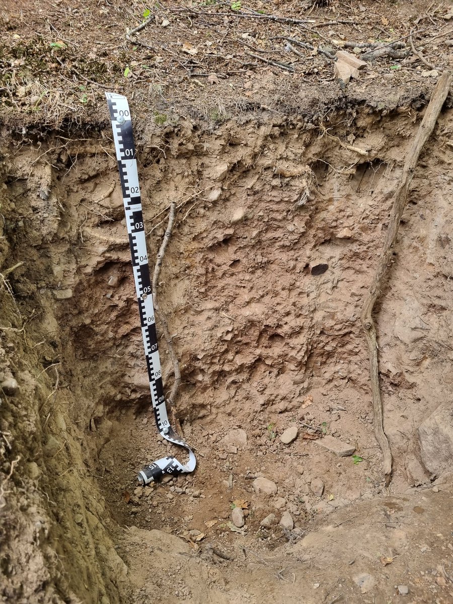 oliviazevedo's tweet photo. The @WorldSoils2022 came to @StirUni for a post conference tour about soil development, use and management. Participants spent time at the training soil pits and lab facilities where they learn about soil science teaching and research at @StirBES #WCSS22 https://t.co/aOx1bJqFTZ
