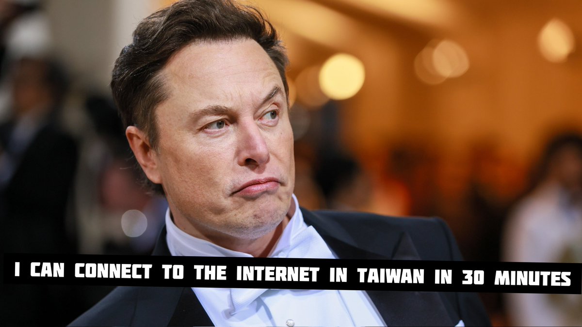 Stray Inu tweet media