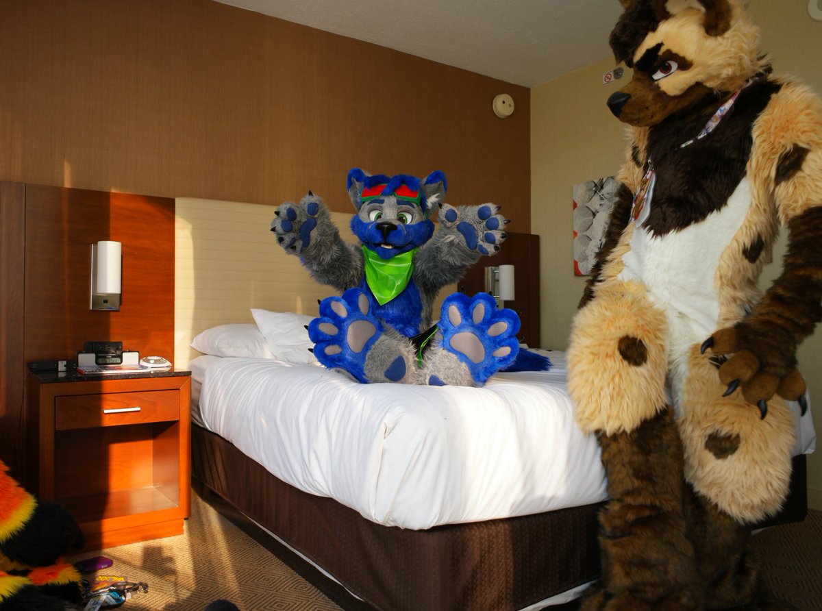 Elecami_Wolf's tweet photo. ... Have you ever wondered what it would look like if photos were not cropped?
@ValdorFox 
@jackhyena https://t.co/BY52wFULbr