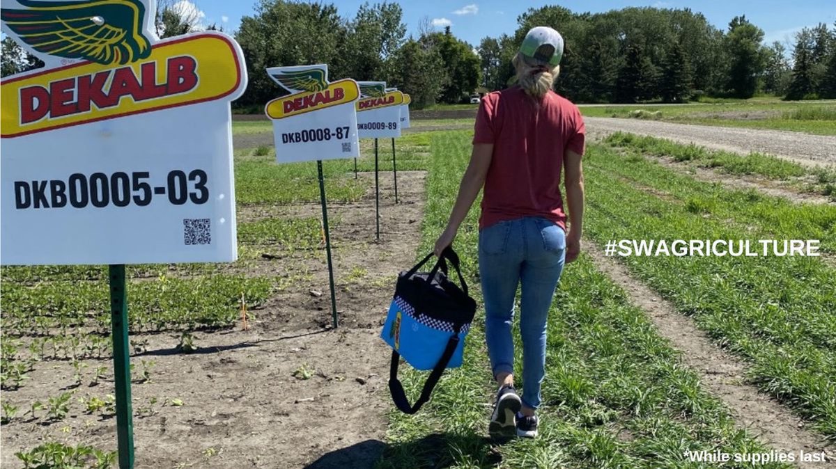 DEKALB Canada tweet media