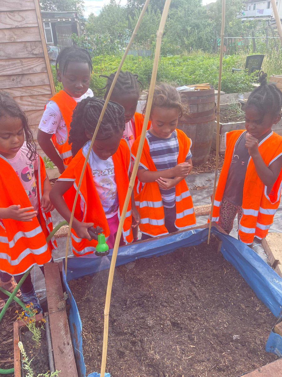MBrookprimary's tweet photo. Spencer too the children from #summerplayscheme22  to his allotment.#MBstars #starsvalues #learnaboutplants #ScienceWeek #HAF2022 https://t.co/2Qb2iFpmnf