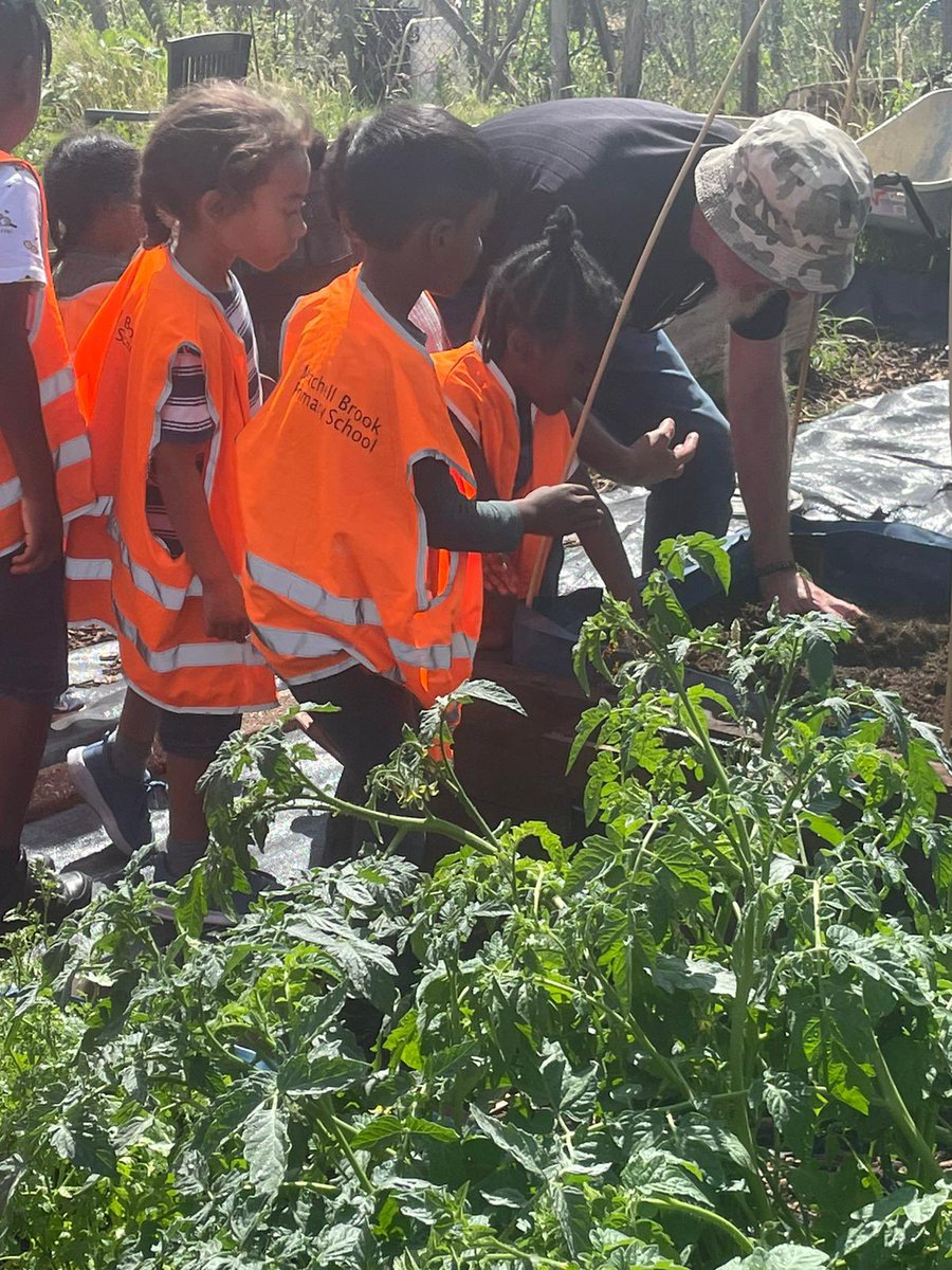 MBrookprimary's tweet photo. Spencer too the children from #summerplayscheme22  to his allotment.#MBstars #starsvalues #learnaboutplants #ScienceWeek #HAF2022 https://t.co/2Qb2iFpmnf