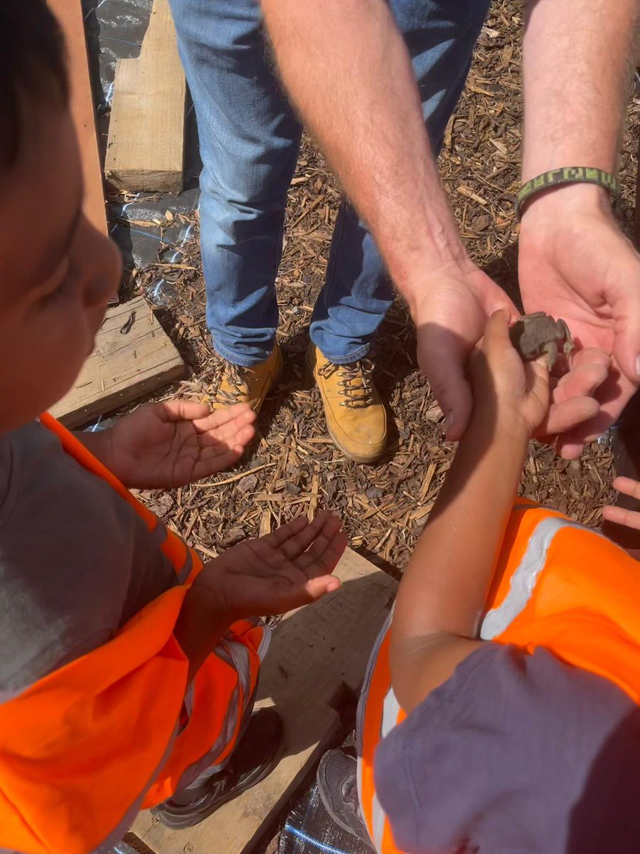 MBrookprimary's tweet photo. Spencer too the children from #summerplayscheme22  to his allotment.#MBstars #starsvalues #learnaboutplants #ScienceWeek #HAF2022 https://t.co/2Qb2iFpmnf