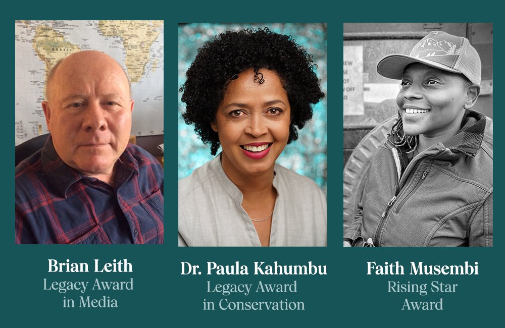 Jackson Wild tweet media