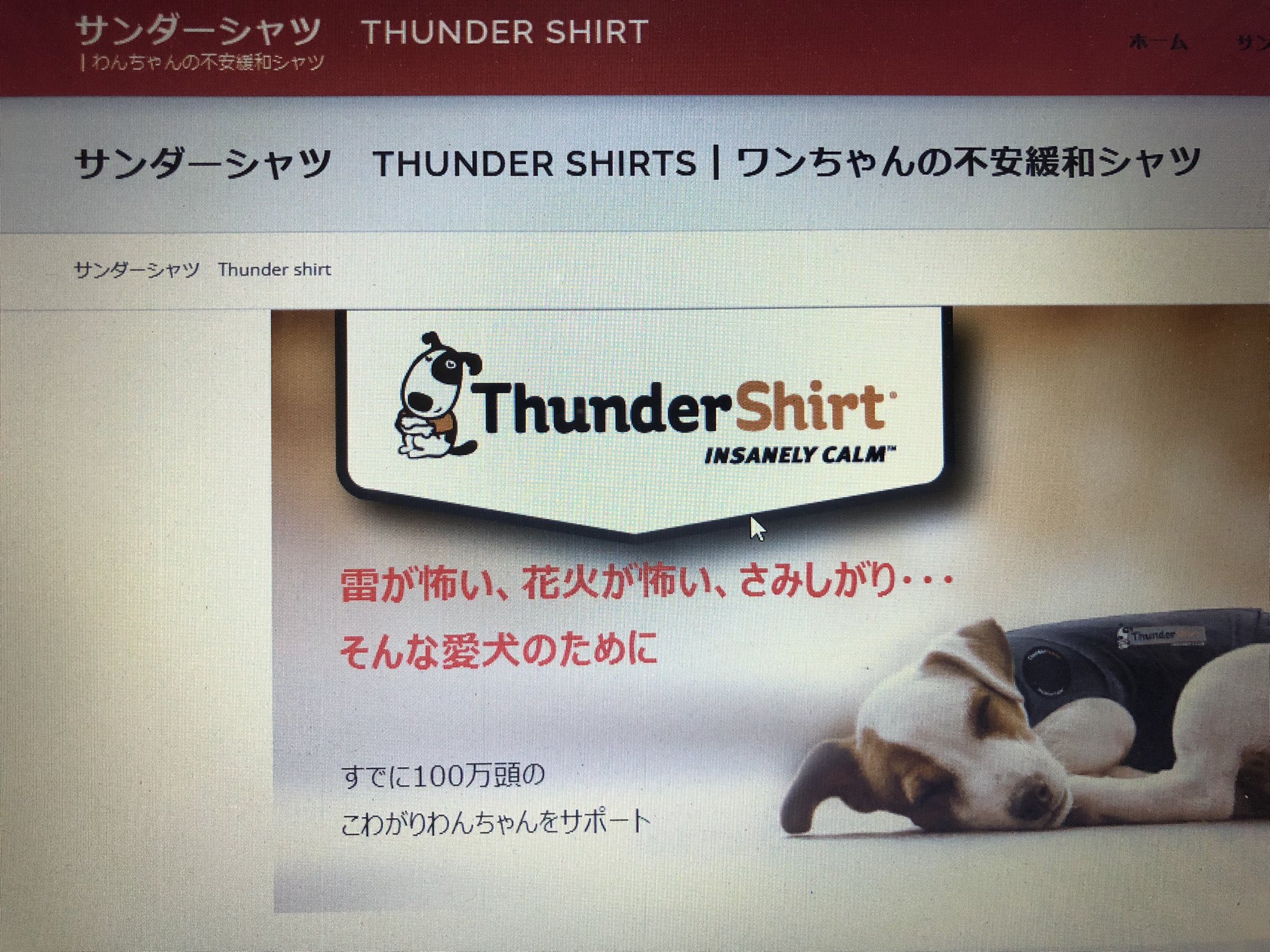 おじいちゃん犬 Twitterren 雷 花火を怖がる時には たすき掛けが効果あるかもらしい 抱きしめてもらってる感覚になって落ち着くんだって 俺も知らなかったんだけど 教えてもらったんだ 知ってて損はないぞ 雷花火はへっちゃら君だった俺 犬 花火