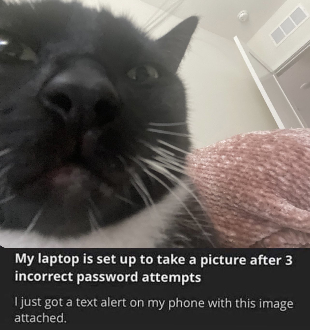 ninaxcarolina on Twitter: ":// https://t.co/bCqEqhHcvb" / Twitter