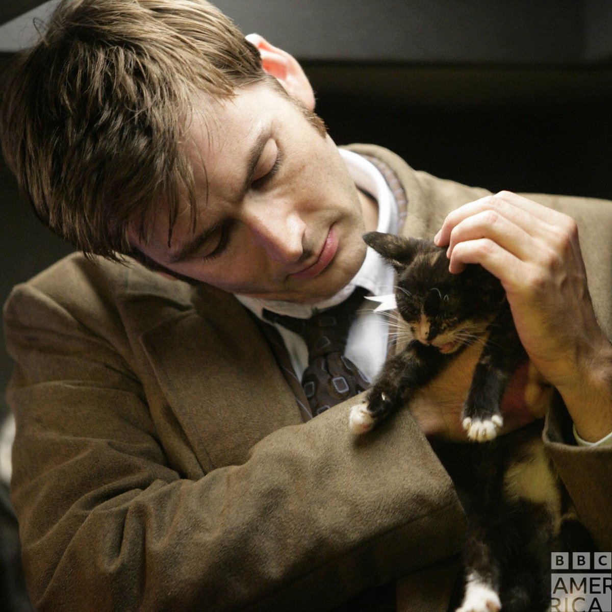 AMCDoctorWho's tweet photo. Happy #InternationalCatDay to all cat people and Cat People! #DoctorWho https://t.co/8TAGkvrCoc