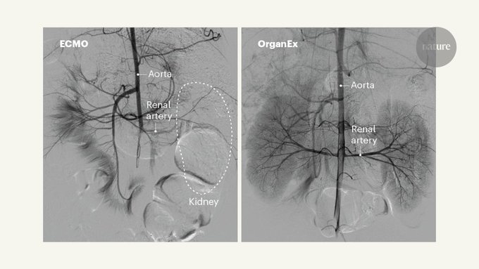 Rahim Azizian tweet media