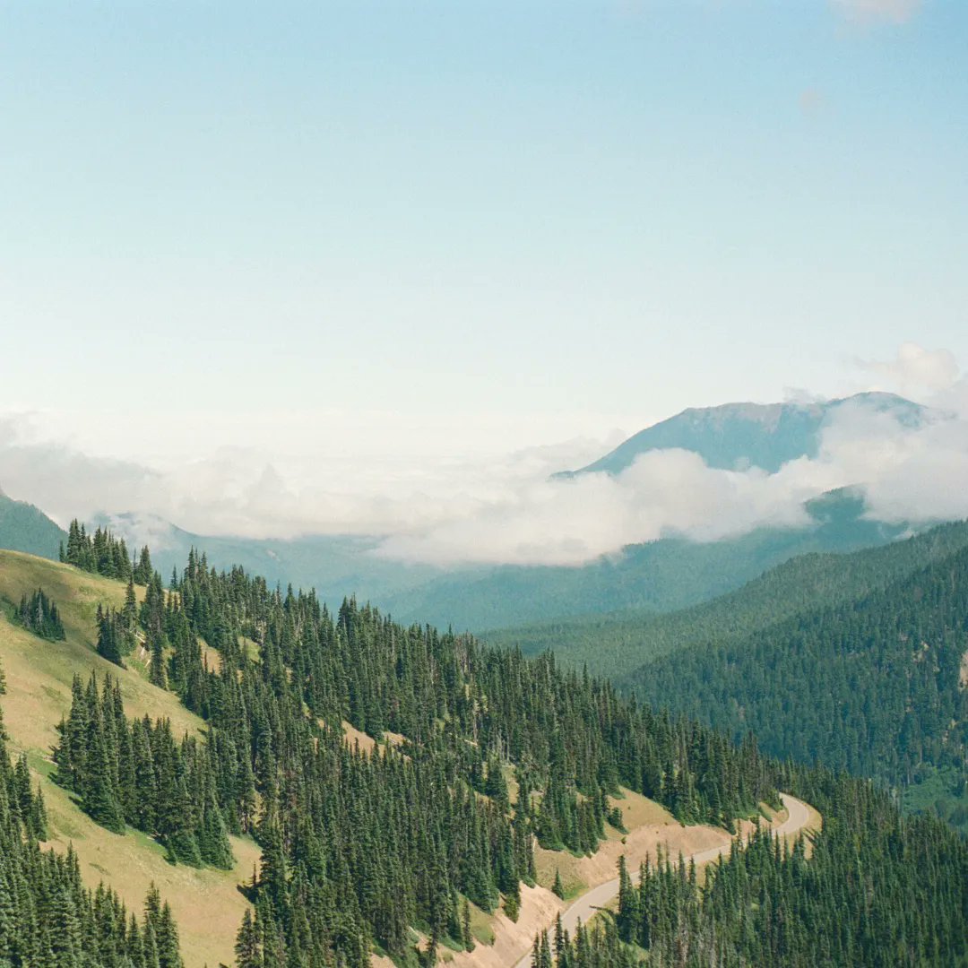 We Drifters tweet media