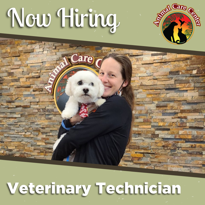 AnimalCareVet's tweet photo. Looking to make your love for animals a #career? We are currently #hiring #VeterinaryTechnicians to help us keep the pets in our area happy and healthy! Apply here: https://t.co/Fmd9Sy3O86 https://t.co/i3Cuh9EQKx