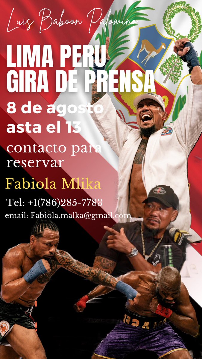 luis palomino (@luisbaboon) on Twitter photo 