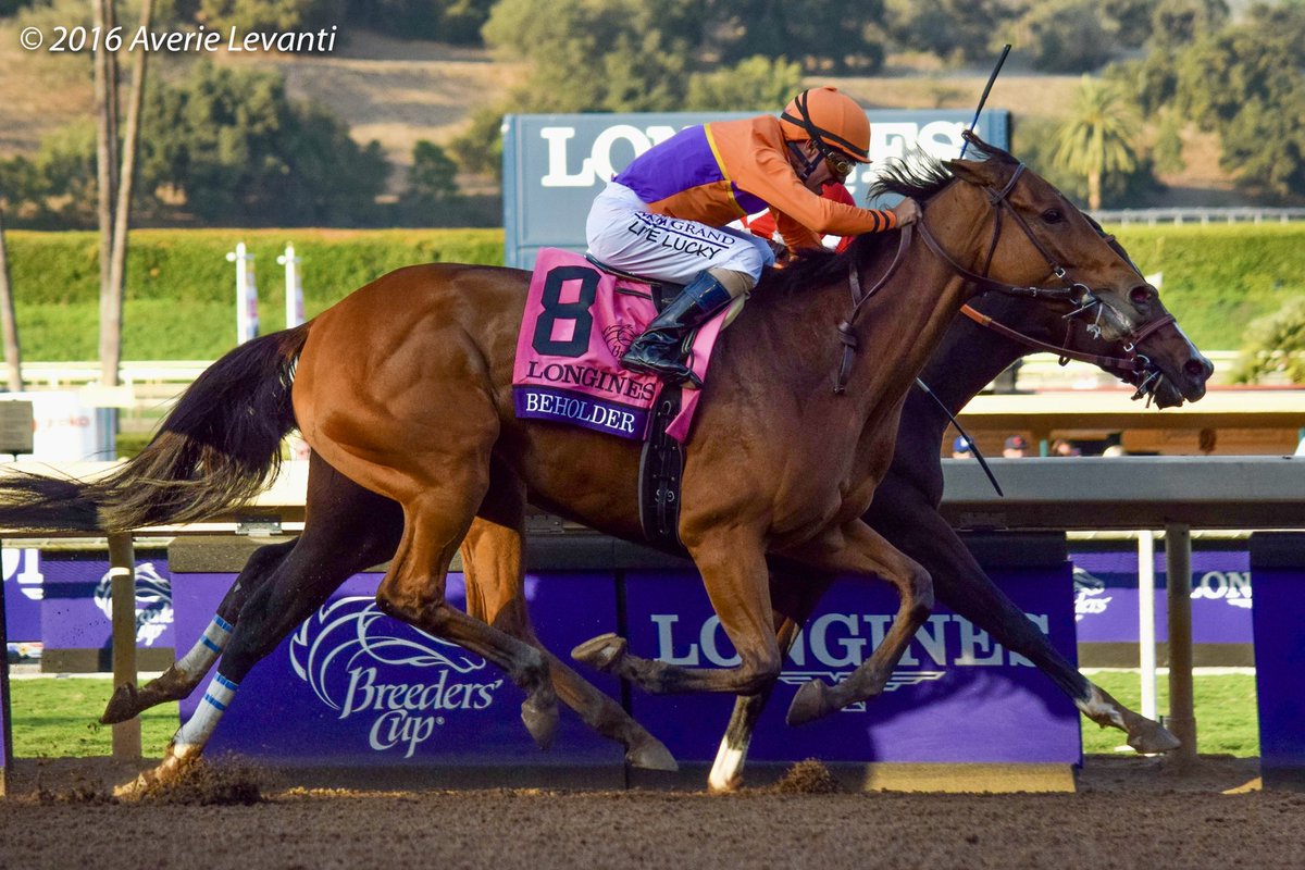 averielevanti's tweet photo. y’all who know me know how much ire this mare has caused me over the years. she deserves this though. #nmrhof https://t.co/iOnaY8lgKH