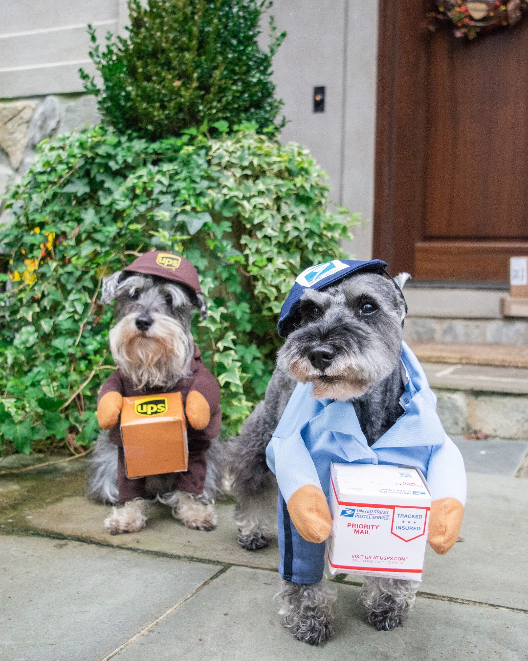 Halloween Costumes on X