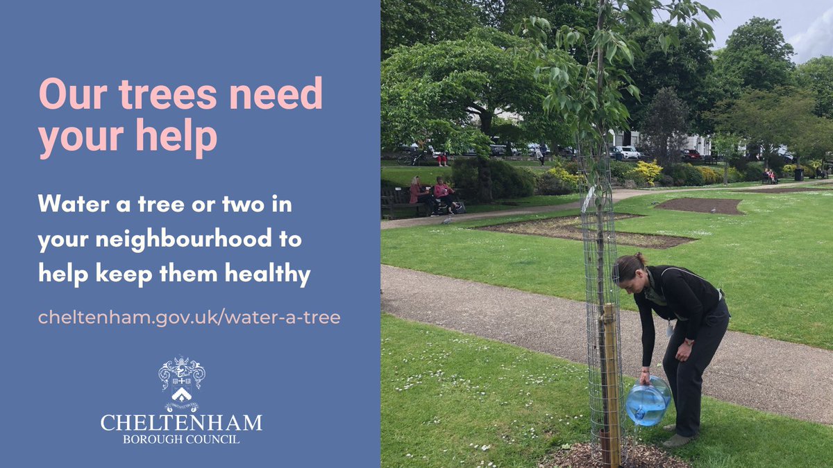 Cheltenham Borough Council tweet media