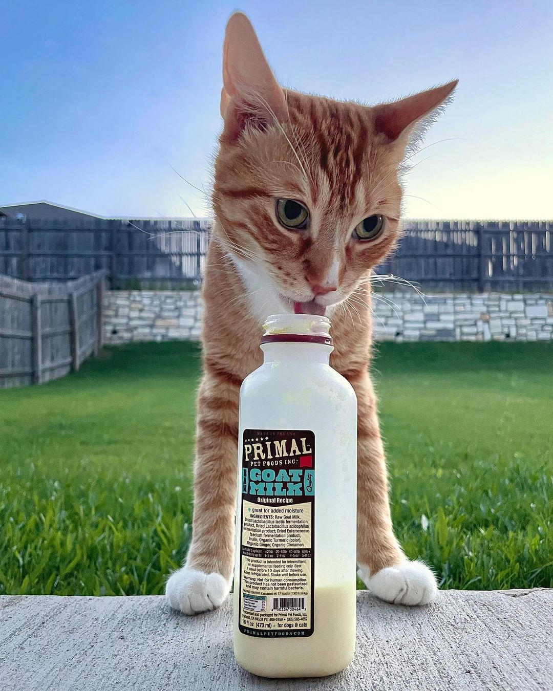 Primal Pet Foods (PrimalPet) / Twitter